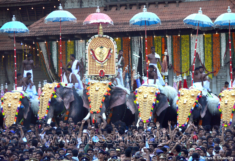 thrissur-pooram-2011- (67)
